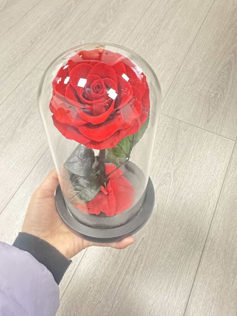 Dabīgas rozes  lielais kupols