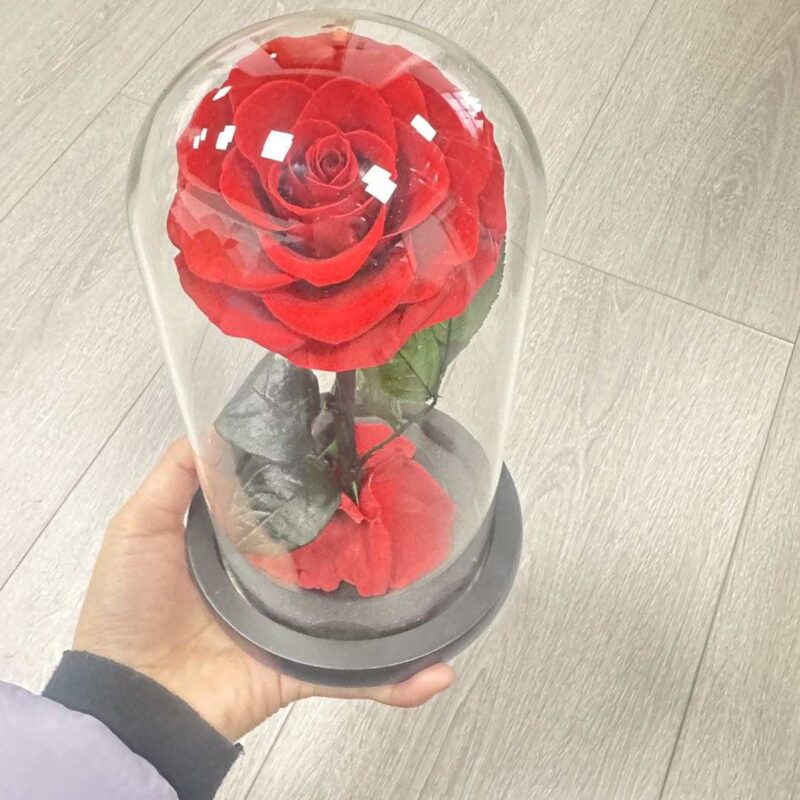 Dabīgas rozes  lielais kupols